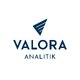 Valora Analitik