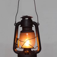 Interesting Fun Facts