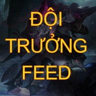 ĐỘI TRƯỞNG FEED