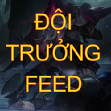 ĐỘI TRƯỞNG FEED