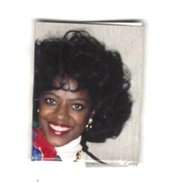 Cats, Dogs and Other Friends