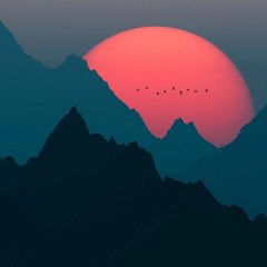 晓江 秦