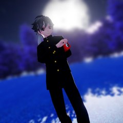 Noctifer