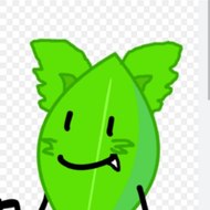 Fox BFB Leafy Central Corp