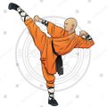 Kungfu world