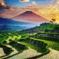 Hendra Sagita