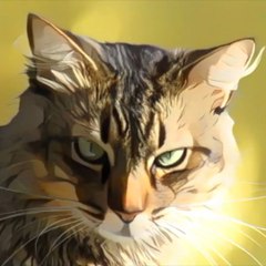 Cute  FFunny Animals