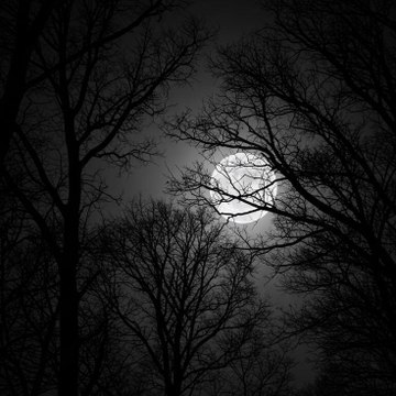Dark sounds fun ☺😊