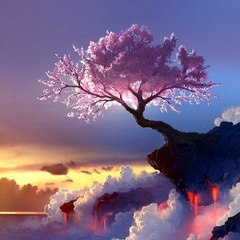 Magestic Sights
