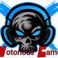 Notorious Gamer