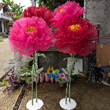 Giant Flower