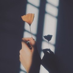 rendicreamylate