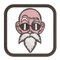 Master Roshi