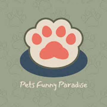 Pets Funny Paradise