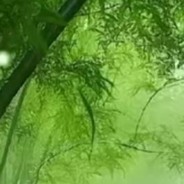 vlog đời sống