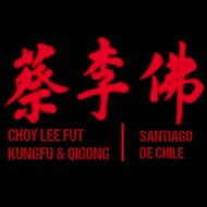 Choy Lee Fut Familia Chan Santiago