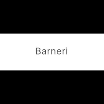 barneri.com