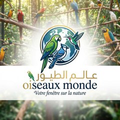 عالم الطيور - World of Birds