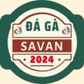 Trường Gà Quốc Tế SaVan