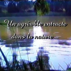 Films Art-Editions Michel Boettcher