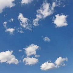 奇趣世界 - Wonderful World Magical and Unbelievable