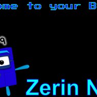 Zerin 9