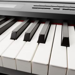 MUSIK PANTURA