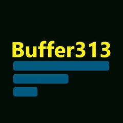 Buffer313
