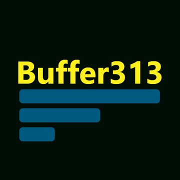 Buffer313