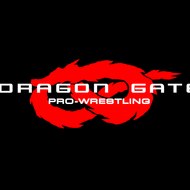 DragonGate/DDT/NJPW