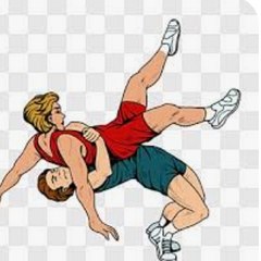 wrestling guru