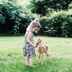 AnimalLove