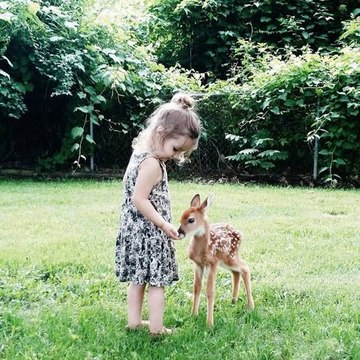 AnimalLove