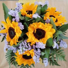 maria caterina Cianciotta