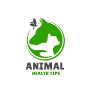 Animal Health Tips