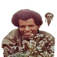 الناس الرايقة