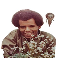 الناس الرايقة