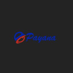Payana Transfers