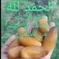 Oued Rezk