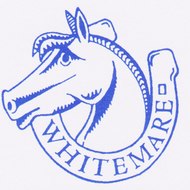 White Mare Services Carpet and Upholstery Cleaners