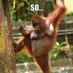 Funny video top