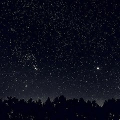 Night gems