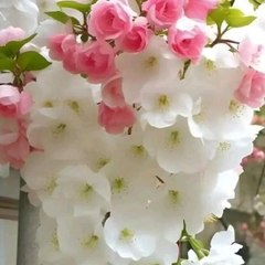 تعلم مع نور