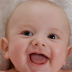 فيديوهات ترفيهية مضحكة