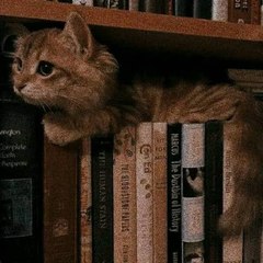 بحر المعلومات