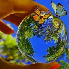 GreenZen