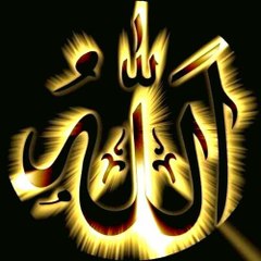 ibrarahmad112277