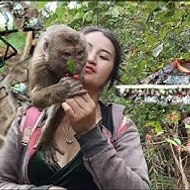 น้ำผึ้งบนดอย