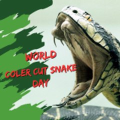 VividVipers
