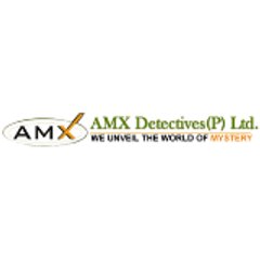 Amx Detective